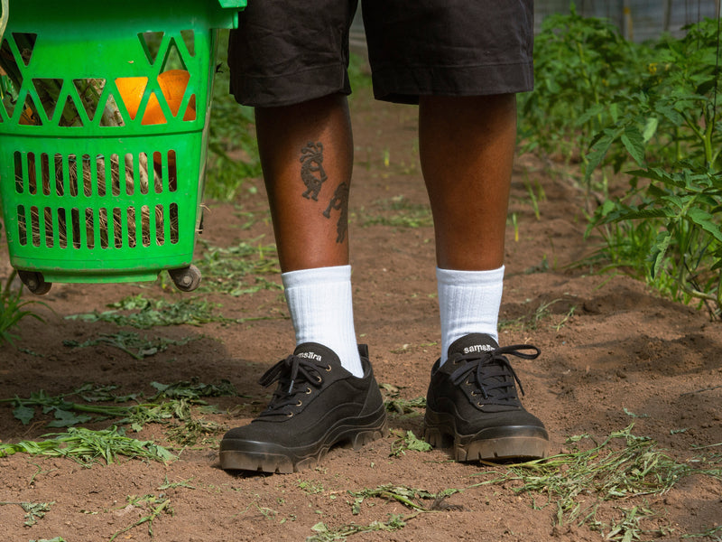 Harvest Nº2 — Capturing the Journey