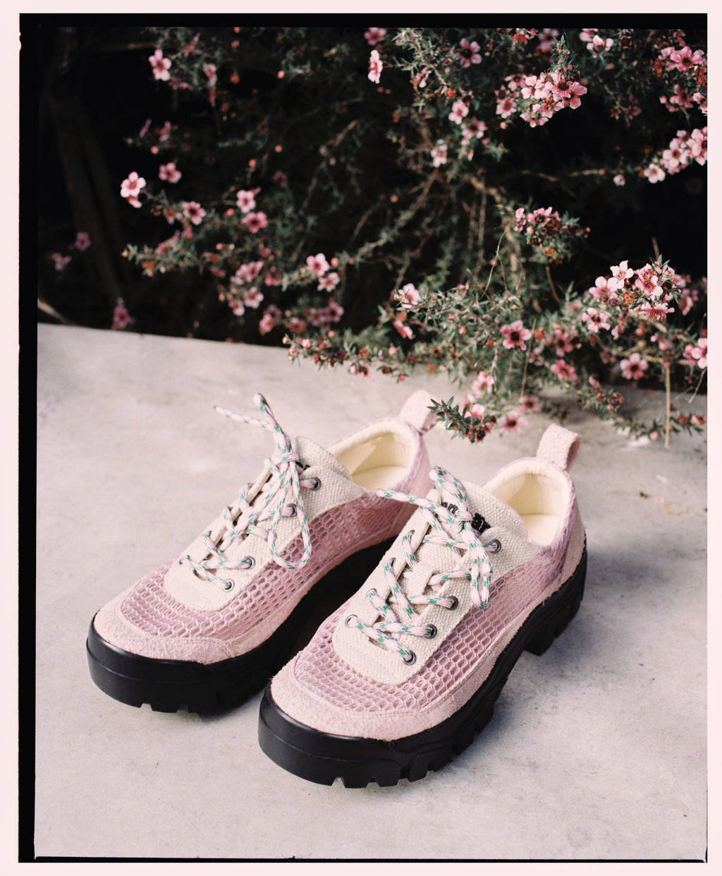 Dharma Tendril™ Pink