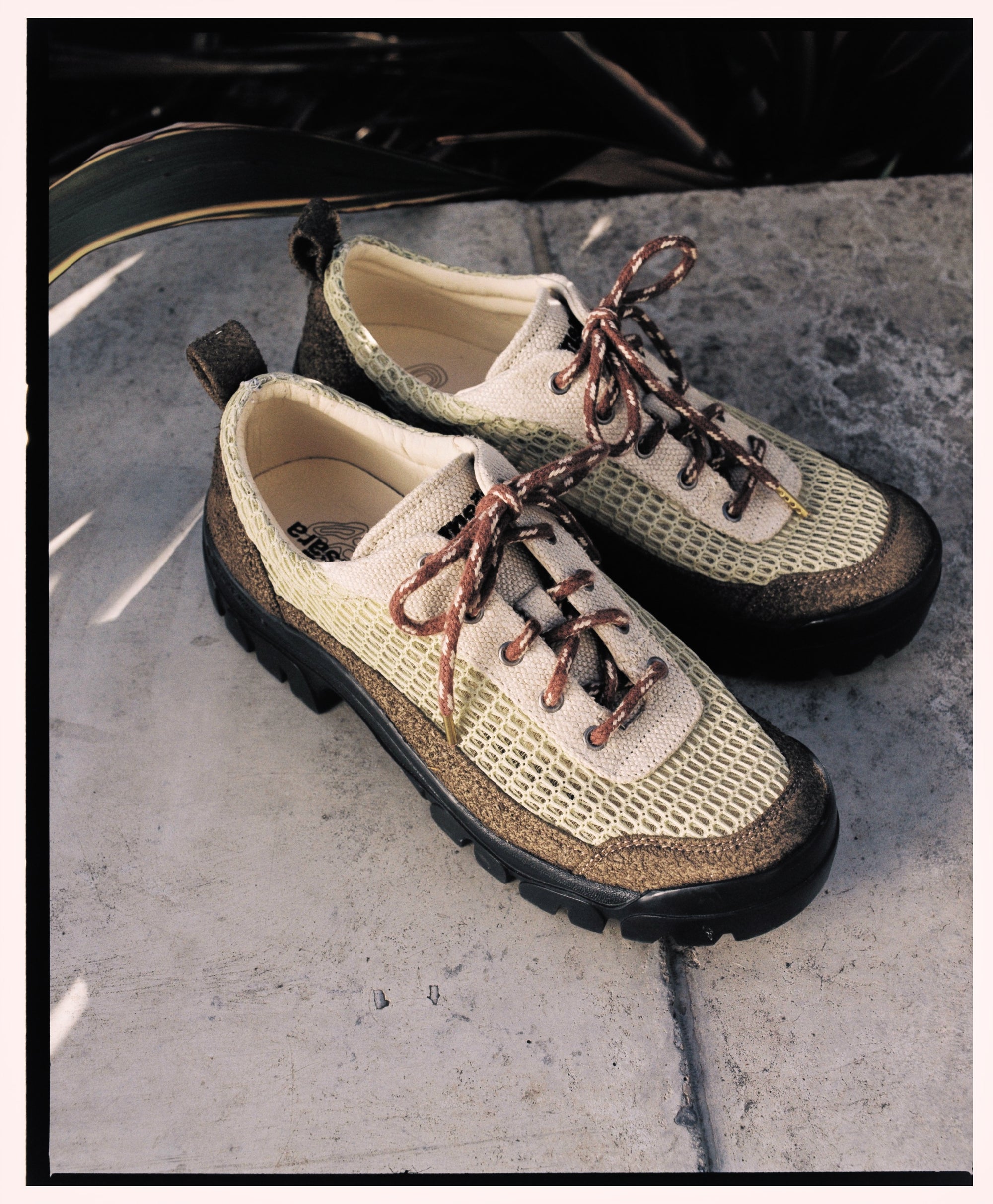 Dharma Tendril™ Green