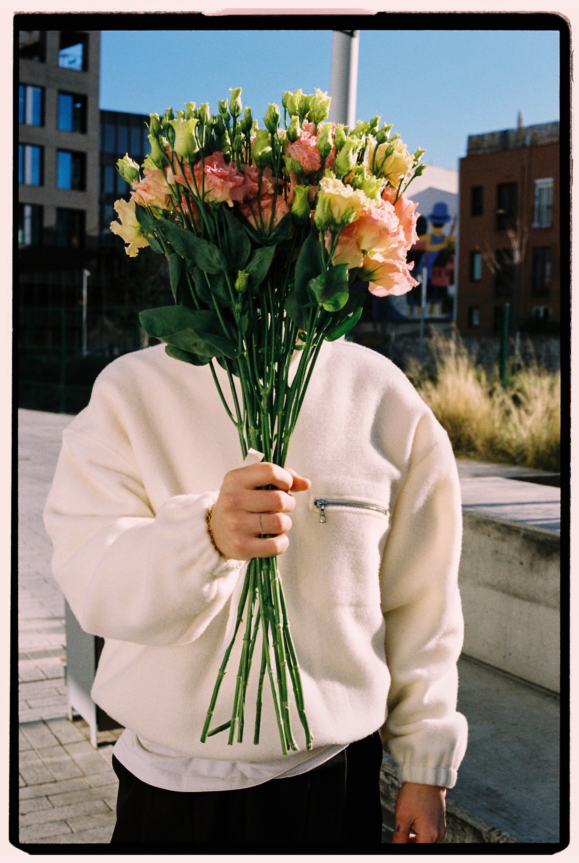 Dharma Tendril™ Pink